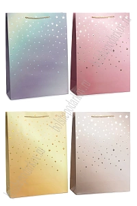 Пакет 30*41,5*12 см (12 шт) SF-7826, микс №43