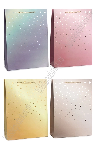 Пакет 30*41,5*12 см (12 шт) SF-7826, микс №43