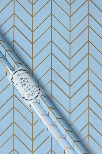 Бумага упаковочная  70*100 см (2 шт) SF-7588, №132