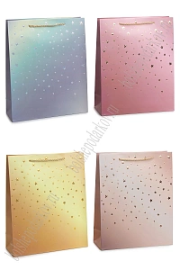 Пакет 26*32*10 см (12 шт) SF-7569, микс №53