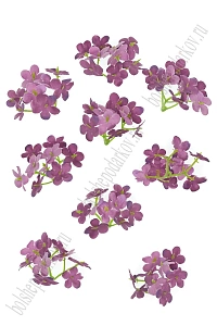 Головки цветов &quot;Гортензия&quot; 4 см (20 шт) SF-7874, пенка