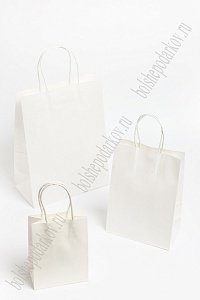 Пакет крафтовый 13*21*8 см (12 шт) SF-7175,  белый