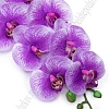 Веточка декоративная &amp;quot;Орхидея&amp;quot; 93 см (SF-8089) фиолетовый