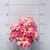 Букет цветов &amp;quot;Георгины&amp;quot; 46 см (2 шт) SF-5131, в ассортименте