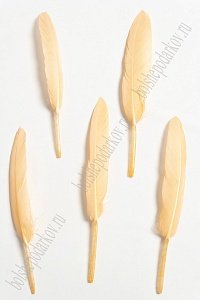 Перья декоративные (20 шт) SF-4316, персиковый №05