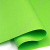 Фоамиран 1 мм, Китай 60*70 см (10 листов) SF-5822, зеленый №06