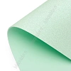Фоамиран глиттерный А4, перламутровый 2 мм Premium (10 листов) SF-1956, мятный №3031