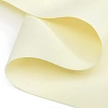 Фоамиран 1 мм, Китай 50*50 см (10 листов) SF-3431/1, ваниль
