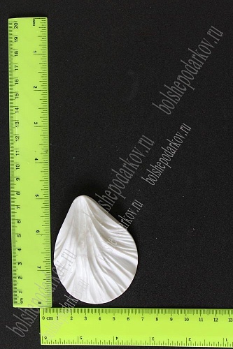 Молд лист универсальный, М, арт. 0725