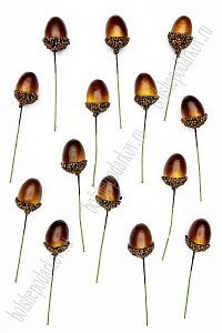 Муляж декоративный желудь на веточке, SF-1227/2335 (50 шт) темно-коричневый Муляж декоративный желудь на веточке, SF-1227/2335 (50 шт) темно-коричневый