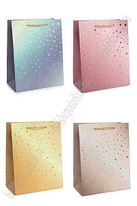 Пакет 18*23*10 см (12 шт) SF-7568, микс №48