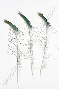 Перья декоративные &quot;Павлин&quot; 60-70 см (10 шт) SF-4320