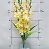 Букет цветов &amp;quot;Гладиолусы&amp;quot; 65 см (SF-5075) в ассортименте