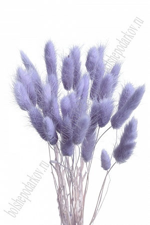 Сухоцветы &quot;Лагурус&quot; SF-4322, фиолетовый