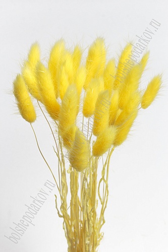 Сухоцветы &amp;quot;Лагурус&amp;quot; SF-4322, желтый
