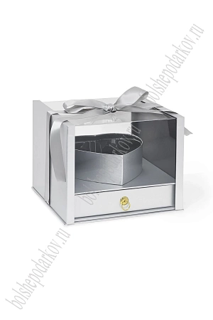 Коробка 25*25*19,5 см (SF-7935) серебро