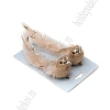 Птички декоративные с зажимом 16*5*4,5 см (2 шт) SF-8015, золотой №24