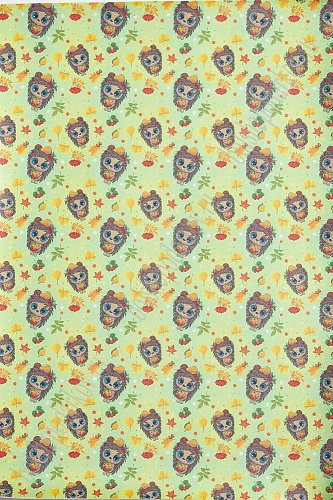 Кожзам &amp;quot;Ёжик&amp;quot; А4 (5 листов) SF-6175