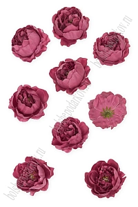 Головки цветов &quot;Пион&quot; 6 см (10 шт) SF-7874, вишневая пенка