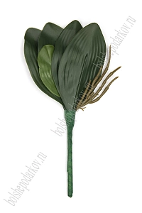 Листья орхидеи 23 см (SF-8090) зеленый