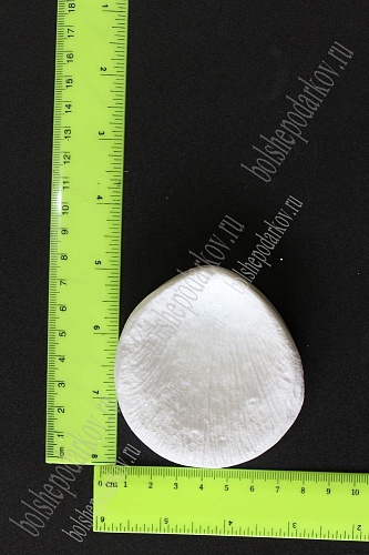 Молд лепесток, роза, L, арт. 0006