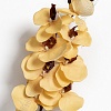 Ветка декоративная &amp;quot;Орхидея&amp;quot; 106 см (SF-1557) бледно-оранжевый