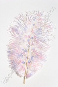 Перо декоративное 23*10 см &quot;Цветы&quot;