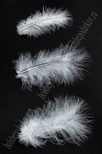 Перья декоративные (20 шт) SF-2024, белый №26