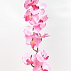 Веточка &amp;quot;Орхидея&amp;quot; 92 см (R-52) в ассортименте