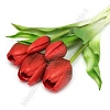 Веточка декоративная 33 см, 31 см &amp;quot;Тюльпан&amp;quot; (5 шт) SF-8137, красный