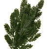Веточка еловая 60 см (SF-8193), зеленая №6
