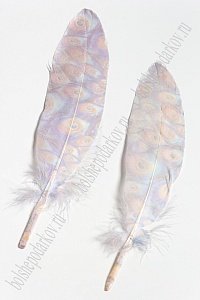 Перья декоративные 16*4,5 см (6 шт) &quot;Павлин&quot;