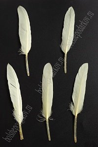 Перья декоративные (20 шт) SF-4316, бледно-желтый №124