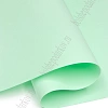Фоамиран 1 мм, Китай 60*70 см (10 листов) SF-5822, мятный №1081