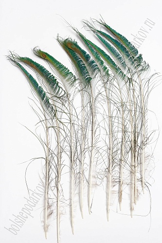 Перья декоративные &amp;quot;Павлин&amp;quot; 60-70 см (10 шт) SF-4320