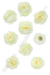 Головки цветов &quot;Пион&quot; 6 см (10 шт) SF-7874, белый