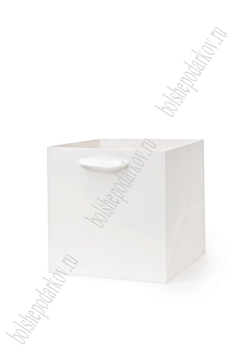 Пакет крафтовый 20*20*20 см (12 шт) SF-7077, белый