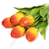 Веточка декоративная &amp;quot;Тюльпан&amp;quot; 32 см (5 шт) SF-8136, желто-красный