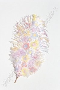 Перо декоративное 23*10 см &quot;Ромашки&quot; разноцветные