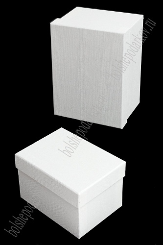 Коробки прямоугольные 10 в 1, 31*26*17 см (SF-7184) белый