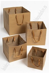 Пакет крафтовый 25*25*25 см (12 шт) SF-7078