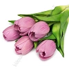 Веточка декоративная &amp;quot;Тюльпан&amp;quot; 32 см (5 шт) SF-8136, сиреневый