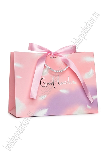 Пакет 18*23*10 см (12 шт) SF-7568, №10