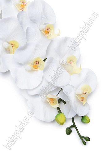 Веточка декоративная &amp;quot;Орхидея&amp;quot; 93 см (SF-8089) белый
