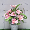 Букет цветов &amp;quot;Орхидеи&amp;quot; 38 см (SF-5056) в ассортименте