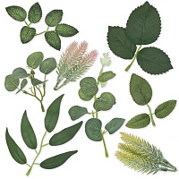 Лепестки, листочки, веточки