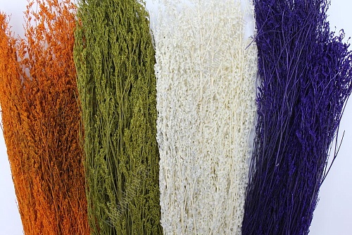 Сухоцвет декоративный (цена за пучок) в ассортименте