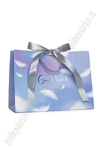 Пакет 18*23*10 см (12 шт) SF-7568, №9