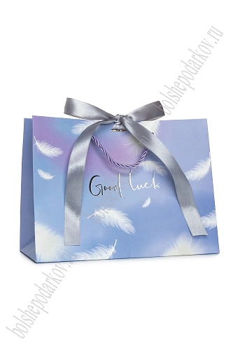 Пакет 18*23*10 см (12 шт) SF-7568, №9