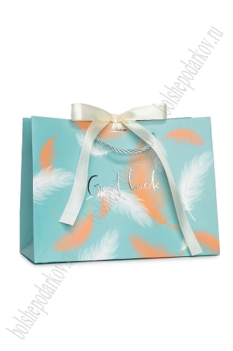 Пакет 18*23*10 см (12 шт) SF-7568, №12